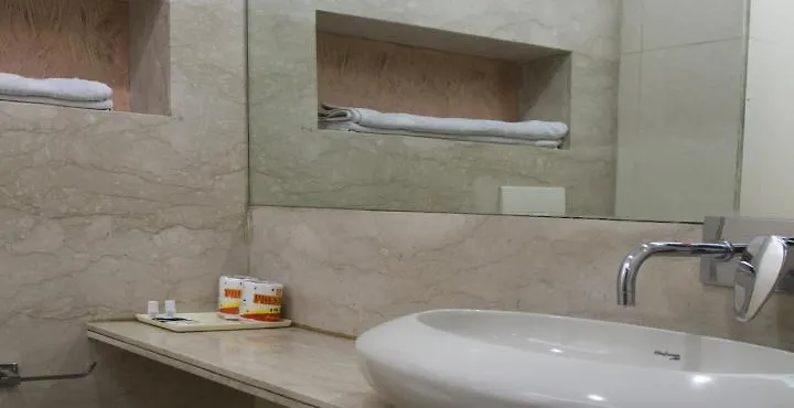 Hotel Livasa Inn Near Blk Hospital Delhi  India